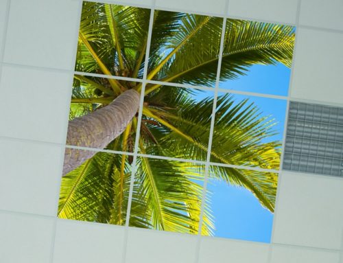 LED photo panel palm tree