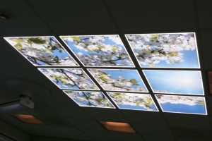LED FotoPaneel sfeerplafond wolkenlucht wolkenplafond LIGHTcreations Apeldoorn