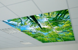 Foto LED Paneel sfeerplafond wolkenlucht wolkenplafond LIGHTcreations Apeldoorn